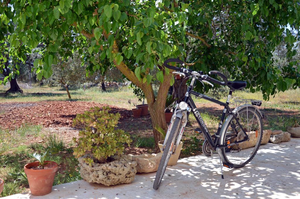 Alojamento de Turismo Rural Tenuta Del Morige